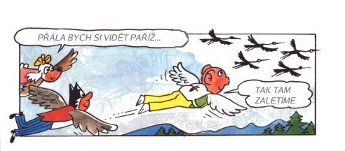 Vize